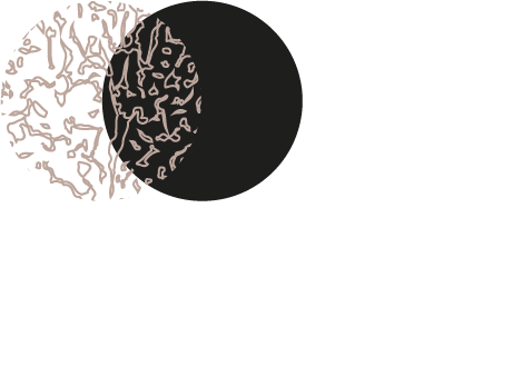 la truffe dans tous ses états